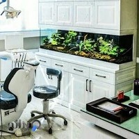 دندانپزشکی دکتر آزاده مهرداد