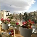 دکتر مهدی مرادی سروستانی