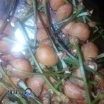 نمایشگاه درب های ضد سرقت صراحیان