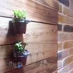 قهوه و کافی شاپ 7