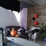 استودیو چیلیک