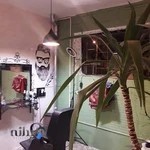 پیرایش طهران مد ️