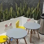 مطب دکتر حمید مصلح