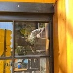 کافه پلاک ۳