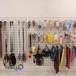 کلینیک دامپزشکی ققنوس (دکتر مهدی صدقی)