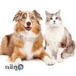 مجله دنیای حیوانات