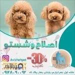 Avizheh Pet