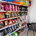 کلینیک دامپزشکی شوکا