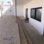 باغ تالار الیزه