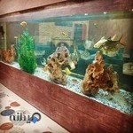 رستوران لوکس طلایی ساوه