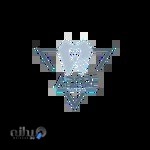 دکتر آیتن عزیزی متخصص درمان ریشه