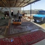 قالیشویی بانو