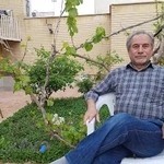 پوشاک مردانه کت و شلوار ارگ