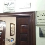 دکتر حسن گوشه