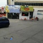 گلسرای همیشه‌بهار