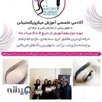 میکرو آکادمی