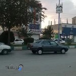 رستوران جوجه طلایی