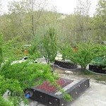 باغ رستوران درکه