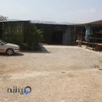 بازرگانی گلدن وود