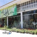 گل ایران زمین