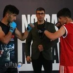 آکادمی بوکس یاسوج