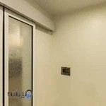 کلینیک شن های نقره ای