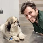 کلینیک دامپزشکی رویان