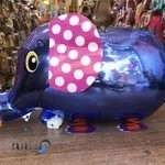 تم تولد شاپرک