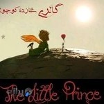 مزون شازده کوچولو