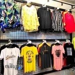 گالری تن ناز