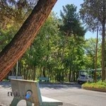 بیمارستان ابن سینا