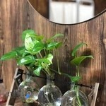 کلینیک زیبایی نویان