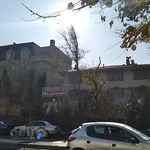 موسسه زبان شکوه