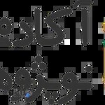 آکادمی نوپژوهان