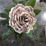 مجتمع تشریفات رضوان