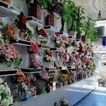 تشریفات عروسی رضوان