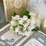 دفتر عقد هیرمان