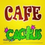 کافه کاکتوس