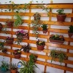 مجتمع‌ آموزشی اندیشه فکور (مشاوره کنکور، کلاس کنکور، اخذ دیپلم آنلاین کانادا)