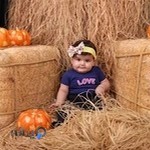 اتلیه ارغوان