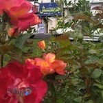 جهش آموزشگاه اولين ها