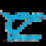 گروه آموزشی آیرال