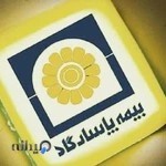 بیمه پاسارگاد