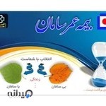 بیمه های عمر و پس انداز سامان_دفتر دیلمان آتیه سازان سلماس