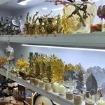 گالری لوکسینه