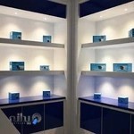 پخش دوربین مداربسته