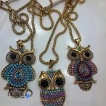 بدلیجات و اکسسوری دلینا