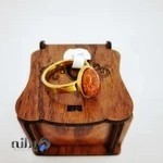 بدلیجات مرسده