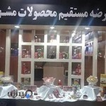 مرکز زعفران بندر انزلی