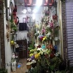 گل سرای چیچک